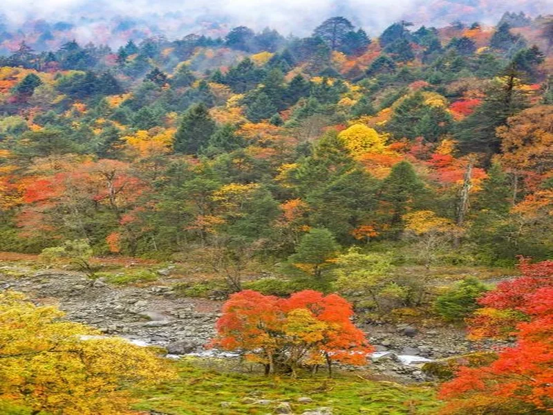 二郎山喇叭河赏秋之旅：立体彩林、野生动物、溪谷红石融为一体